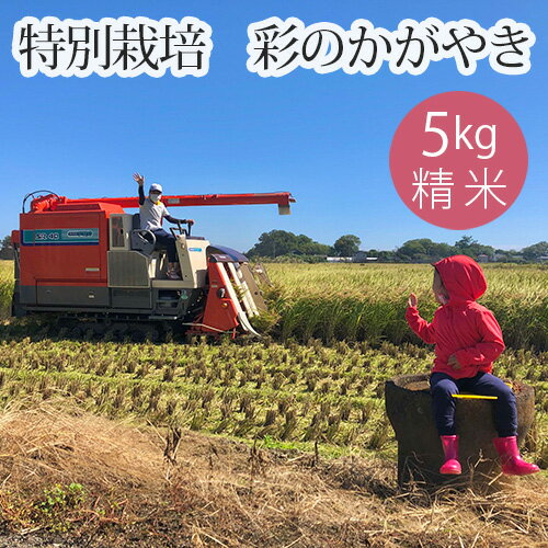 【ふるさと納税】特別栽培　彩のかがやき　精米5kg ／ 米 お米 おこめ 白米 5kg 5キロ ご飯 ごはん さいのかがやき ブランド米 産地直送 産直 国産 行田市産 埼玉県産 送料無料 埼玉県 No.301