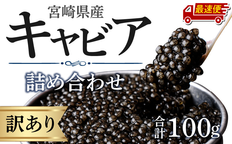 
            【最速便】【日時指定可能】【訳あり】宮崎県産キャビア 詰め合わせ 合計100g_M017-049-2W
          