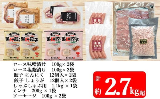 鹿児島県産黒豚 ボリューム満点 まるで福袋 合計2.7kg超え BS-919