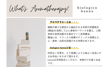 【四国一小さなまち】 ★香りの教室 帆南★ 携帯ボタニカルアロママスクスプレー ２本セット ～調和・そよ風～ （手指可）