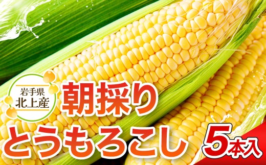 【予約受付 2026年7月中旬頃～発送】北上産のとうもろこし ５本 トウモロコシ きみ コーン 野菜 国産 岩手県 東北 夏野菜 展勝地 岩手 北上市 A0239 展勝地レストハウス
