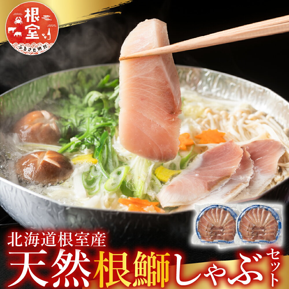 【ふるさと納税】【12月21日決済確定分まで年内配送】 [北海道根室産] 天然根鰤しゃぶセット 鰤 ブリ ぶり ぶりしゃぶ ブリしゃぶ 厚切り 大切り 昆布だし 山わさび ワサビ 昆布 魚 さかな サカナ お取り寄せ グルメ 海鮮 北海道 根室市 ふるさと納税 A-42126