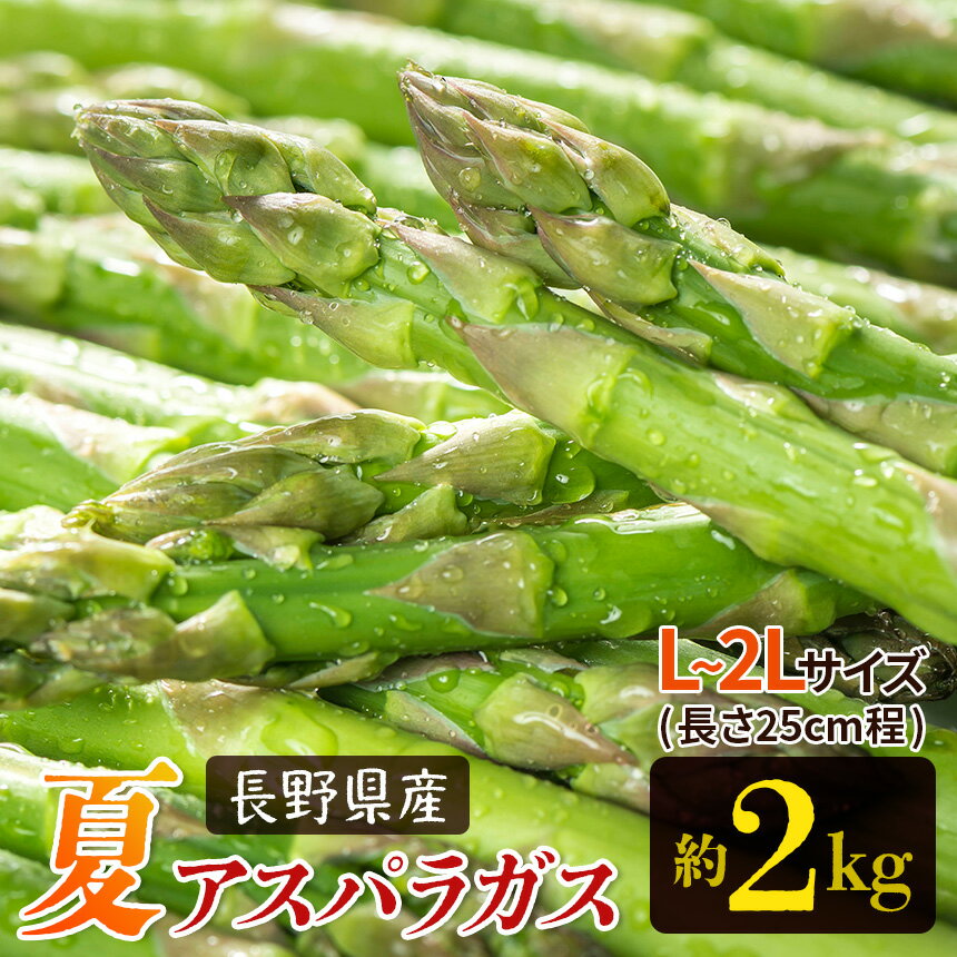 【ふるさと納税】【先行予約】 夏 アスパラガス 約2kg 農家直送 ハウス栽培（路地栽培あり）（秋元夏姫さん）｜野菜 やさい ヤサイ 根物 ねもの ネモノ アスパラ あすぱら アスパラガス あすぱらがす 夏 旬 出荷 長野県 木島平村 ハウス 栽培 農家 直送