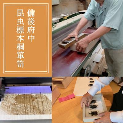 ふるさと納税 府中市 【数量限定】匠の昆虫標本桐箪笥「国産カブト」 |  | 01