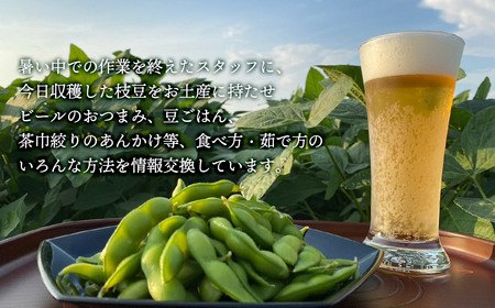 【令和6年産先行予約】山形県鶴岡市産 だだちゃ豆2kg＋訳ありだだちゃ豆500g　株式会社アグリシア