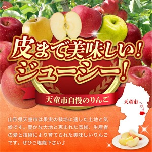 りんご ( シナノゴールド ) ３kg フルーツ 果物 山形 08-08-036