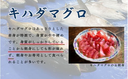 【訳あり】和歌山県すさみ産 天然生マグロ 冷凍 生 約200g×3個　マグロ 海鮮丼 鮪 寿司 海鮮 小分け 刺身 和歌山 すさみ町 キハダマグロ メバチマグロ 大容量【scp002】