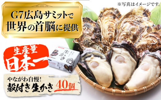 【3月31日（水）着】生牡蠣 殻付き 40個 江田島市／マルサ・やながわ水産有限会社[XBL009-058]