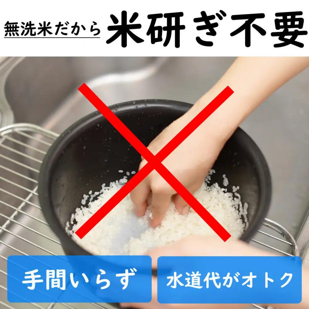【定期便6回】令和7年産 新潟県 魚沼産 無洗米 コシヒカリ5kg 精米 一等米  天糧