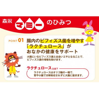ふるさと納税 江南市 森永マミーL 200ml ×24本 森永乳業 清涼飲料水 プリズマパック |  | 01