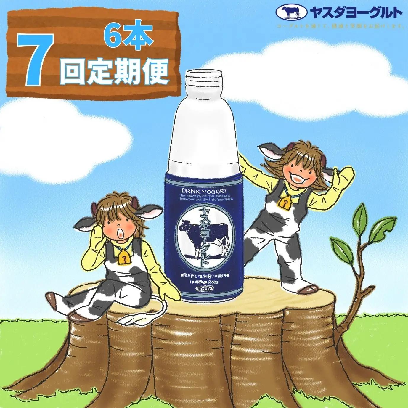 【7ヶ月定期便】ヤスダヨーグルト 800g×6本×7回 大ボトル 無添加 搾りたて こだわり生乳 濃厚 飲むヨーグルト のむよーぐると ヨーグルト 1B56064