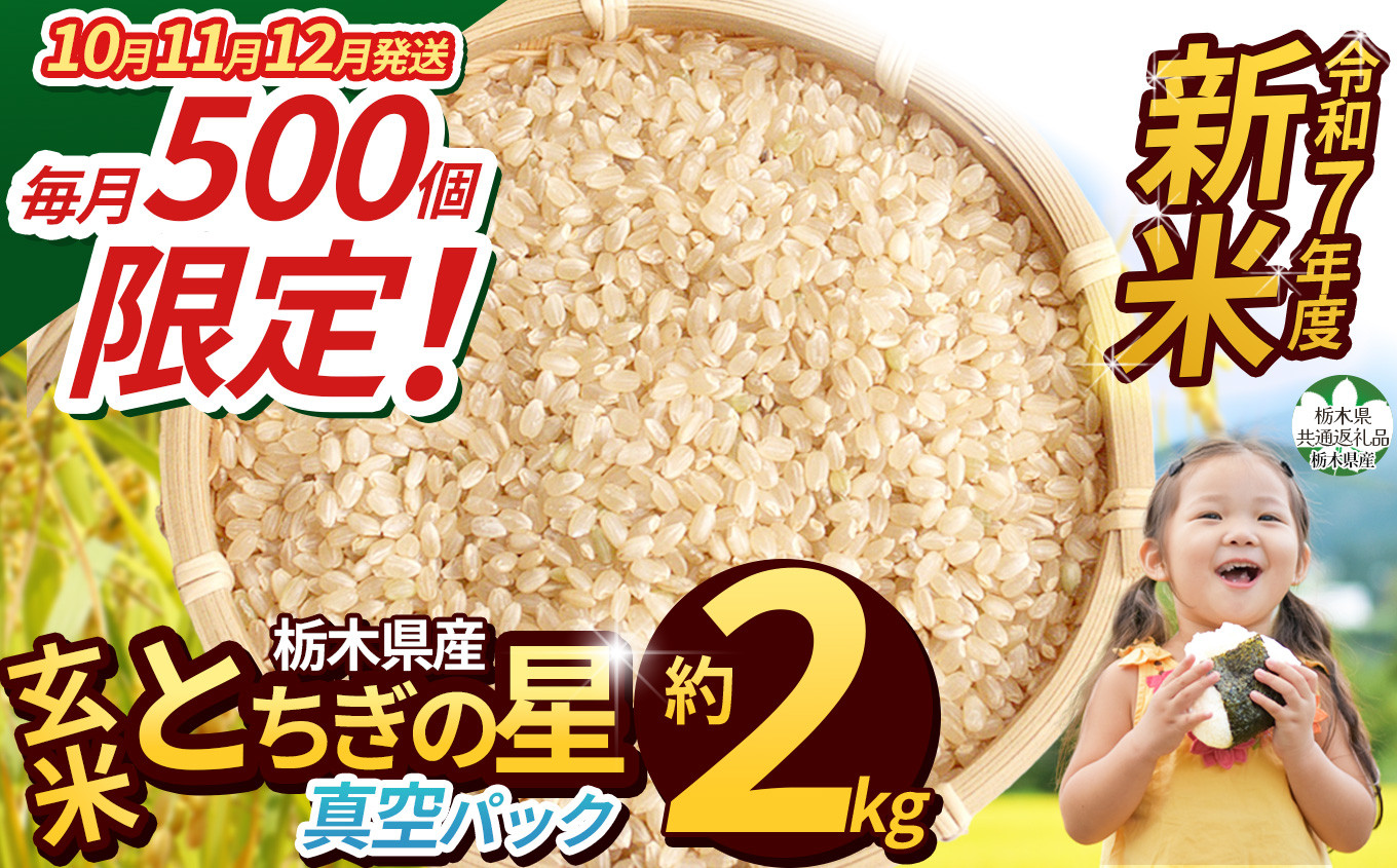 
            【先行予約】【令和7年度新米】【毎月500個限定！】 【栃木県共通返礼品】栃木県産 とちぎの星 2kg（玄米真空パック） | とちぎの星 玄米 米 ごはん  冷めてもおいしい ふるさと納税 那珂川町 栃木県
          