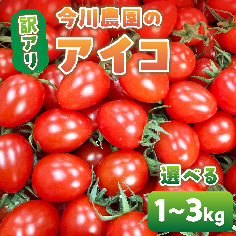 【ふるさと納税】【先行予約】今川農園のミニトマト 訳ありアイコ 選べる1～3kg 先行予約受付 期間限定 季節限定 野菜 国産 完熟 やさい フルーツ トマト 完熟 千果 ミニトマト イエロー プチトマト イエロートマト プチ お弁当 贈り物 おやつ サラダ 送料無料 産地直送