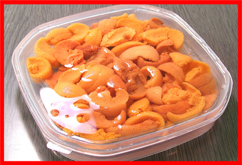 エゾバフンウニ(黄色)塩水パック100～110g×1P C-07021