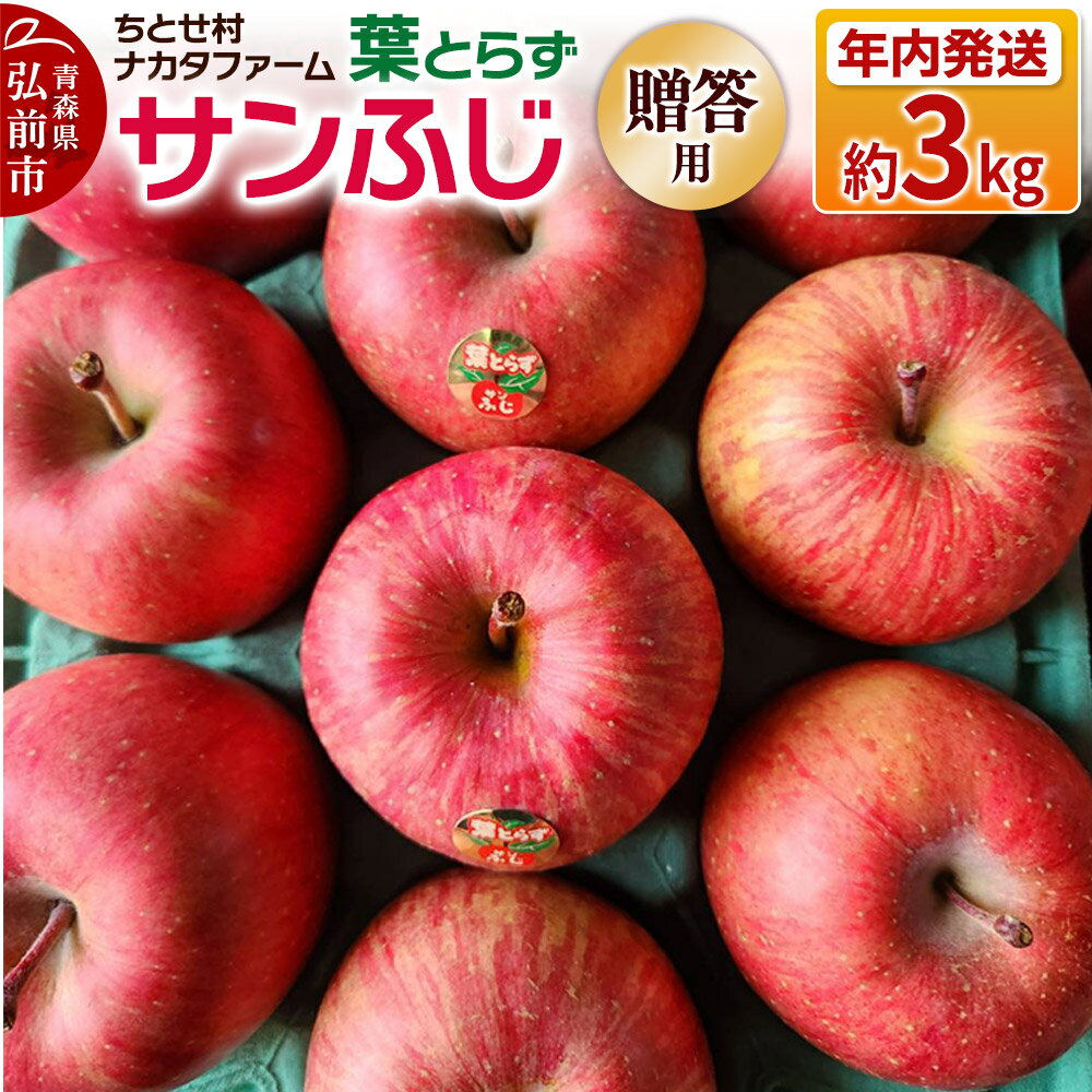 【ふるさと納税】【25年11月〜発送】りんご 葉とらずサンふじ 約3kg 贈答用 ちとせ村