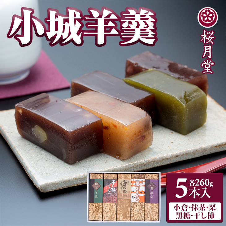 小城羊羹 煉りようかん ５本セット（260g×5）ようかん