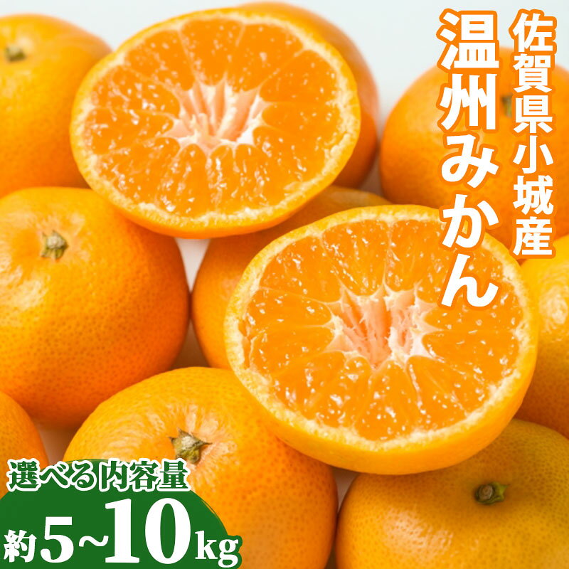 【ふるさと納税】【先行予約】 選べる内容量 佐賀県産 みかん 5kg 10kg ほたるの郷 大津 みかん 柑橘 温州みかん ミカン 柑橘類 果実 フルーツ 果物 サイズ混合 大津みかん 期間限定 甘味 酸味 糖度 ふるさとみかん みかんふるさと 佐賀県 小城市【B100-032】