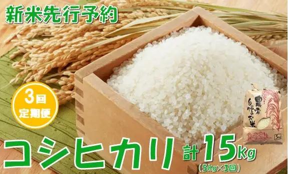 【3回定期便】【令和８年産米 先行予約】コシヒカリ5kg　計15kg　佐藤