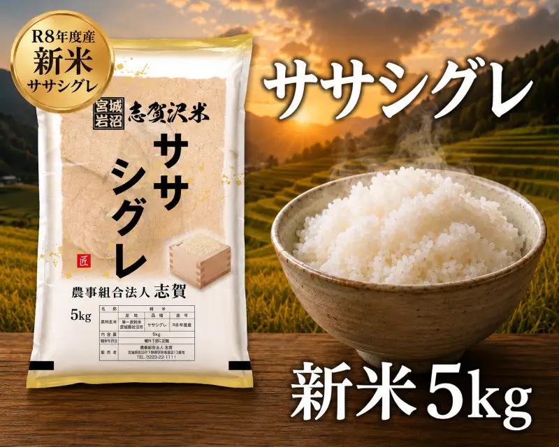 希少 新米 令和8年産 ササシグレ 5kg  精米