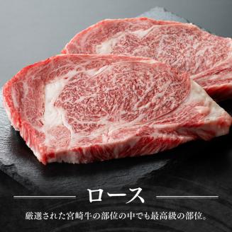 宮崎牛 ロース ステーキ 2枚 500g【肉 牛肉 国産 宮崎県産 宮崎牛 黒毛和牛 和牛 ステーキ BBQ 4等級  A4ランク ロース  E11106】