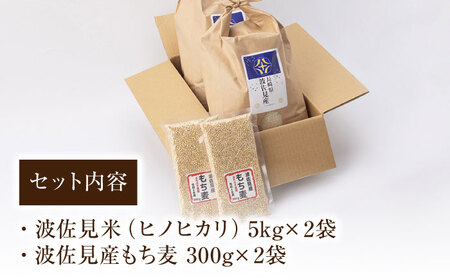 【真空包装可能】ヒノヒカリ 白米 5kg×2 計10kg もち麦 300g×2 計600g 波佐見町産 セット【冨永米穀店】[ZF14]