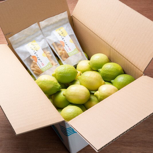 【ふるさと納税】ワックス・防腐剤不使用の皮ごと使えるレモン4kgとかりんとう2袋セット【配送時期：9月上旬〜3月下旬】