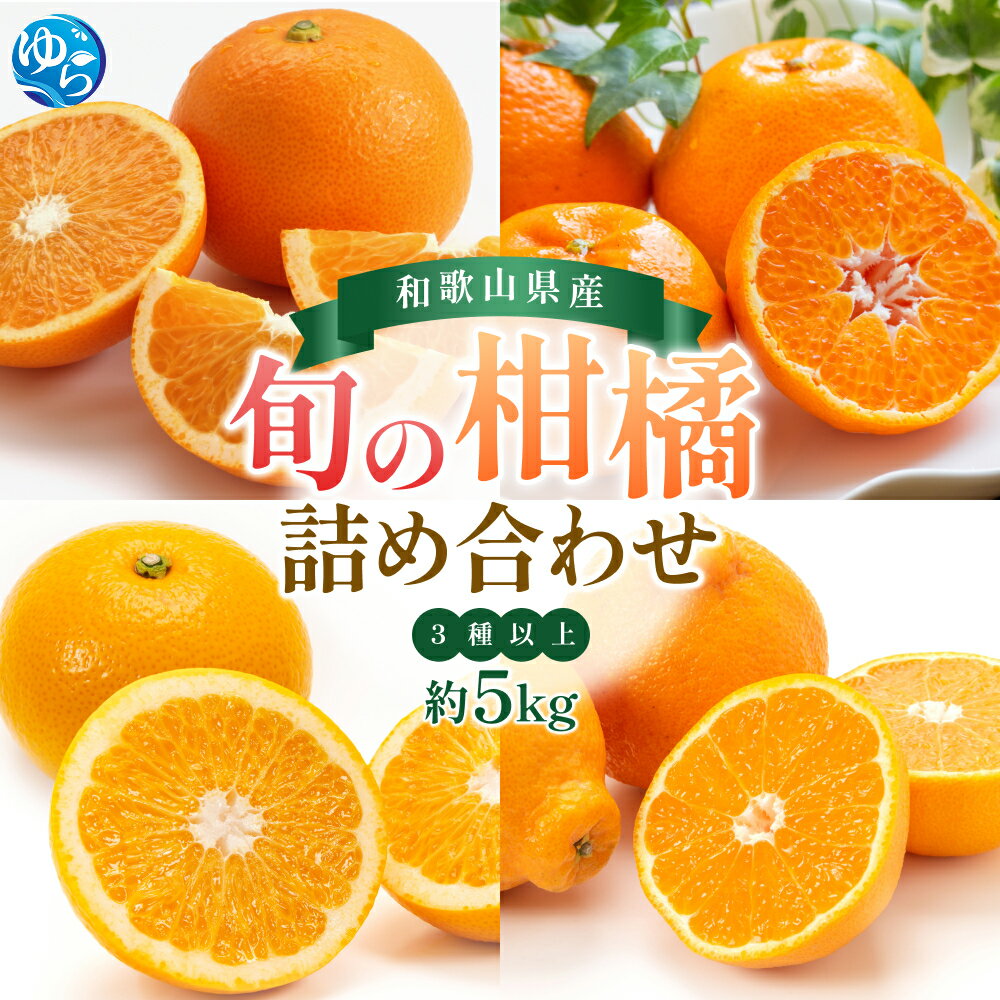 【ふるさと納税】旬の 柑橘 詰め合わせ（3種以上）5kg / みかん 蜜柑 フルーツ 果物 くだもの 和歌山 ※2027年2月上旬～2027年3月下旬に順次発送 ※北海道・沖縄・離島配送不可