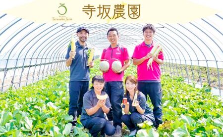 【2026年発送】【中富良野町】厳選ミニトマトほれまるBOX【BF-007】
