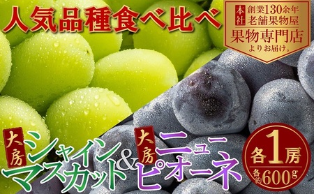 【2025年8月中旬より順次発送】大房シャインマスカット＆大房ニューピオーネ　各1房　（各約600g） ジューシー 濃厚 果汁たっぷり デザート 食後 国産 日本産 観音寺産 食べ比べ ブドウ食べ比べ 食べ物