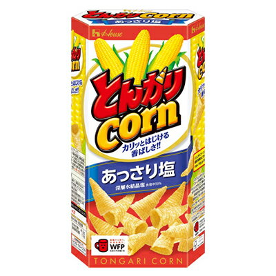 【ふるさと納税】とんがりコーン あっさり塩　62g×20個 おやつ 人気 厳選 お子様 こども 子供 袋井市 お菓子 スナック ハウス食品