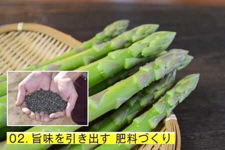 【朝採り直送】夏芽アスパラガス 1kg（2L-Lサイズ）福岡県産 2026年