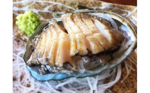 【※訳あり※】【11月～12月発送】三陸産！活アワビ 約1kg (6～10個)【数量限定】【08】｜冷蔵 三陸 岩手県 大槌町 あわび 人気 鮑 いわて iwate 2026 魚貝 鮮度抜群【配送日・