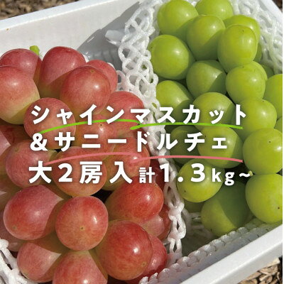 【ふるさと納税】大粒シャインマスカット&サニードルチェ 大2房入/計1.3kg~(岡山県産)【配送不可地域：離島・北海道・沖縄県】【1551281】