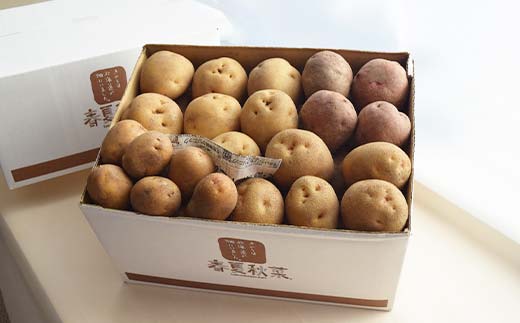 『春夏秋菜』じゃがいも4種類食べ比べセット5kg 2026年11月より順次発送 EB8-0196