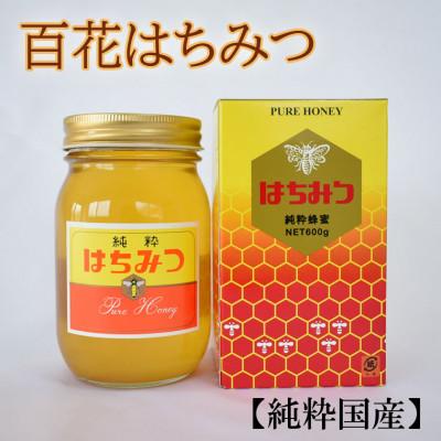 ふるさと納税 日高川町 【純粋国産】和歌山県産百花はちみつ約600g(日高川町)