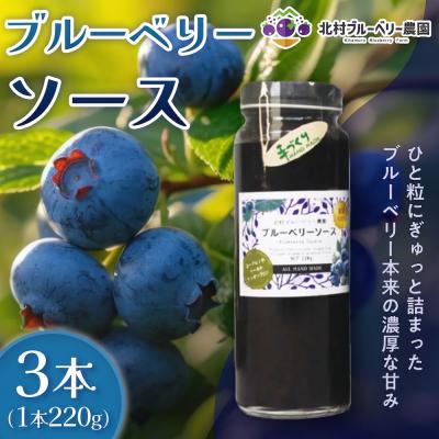 ふるさと納税 石巻市 ブルーベリーソース 220g × 3本 ブルーベリー ソース 自然栽培  冷蔵