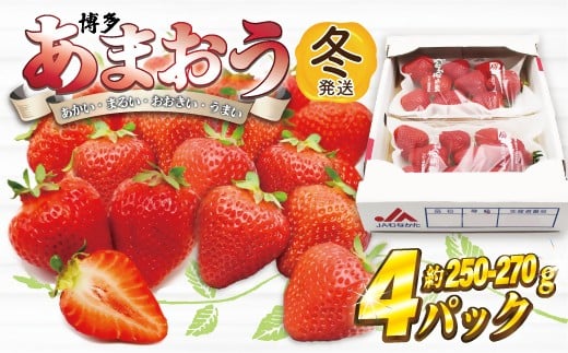 AT-003_博多あまおう4パック(冬)『12月上旬～1月下旬発送』