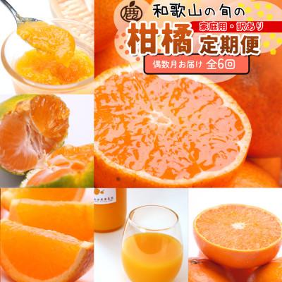 ふるさと納税 広川町 【発送月固定定期便】家庭用 柑橘定期便S(偶数月)全6回
