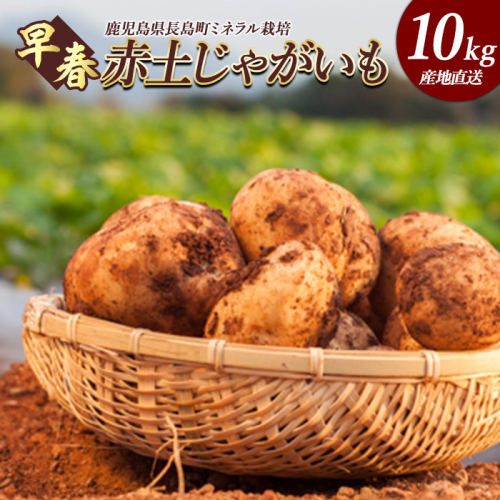 早春長島のミネラル栽培ジャガイモ(10kg)【エグチベジフル株式会社】eguchi-1365