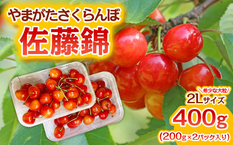 
            やまがた さくらんぼ 佐藤錦 "希少な大粒" 2Lサイズ 400g(200g×2パック入り) 1箱【令和7年産先行予約】FS23-886 くだもの 果物 フルーツ 山形 山形県 山形市 2025年産
          