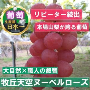 【2025年先行受付】2025年10月中旬発送「幻の牧丘天空ヌーベルローズ」 約1kg(3～4房)【配送不可地域：離島・沖縄県】【1473359】