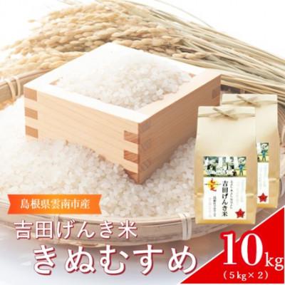 ふるさと納税 雲南市 島根県雲南市産　吉田げんき米　きぬむすめ　10kg(5kg×2)