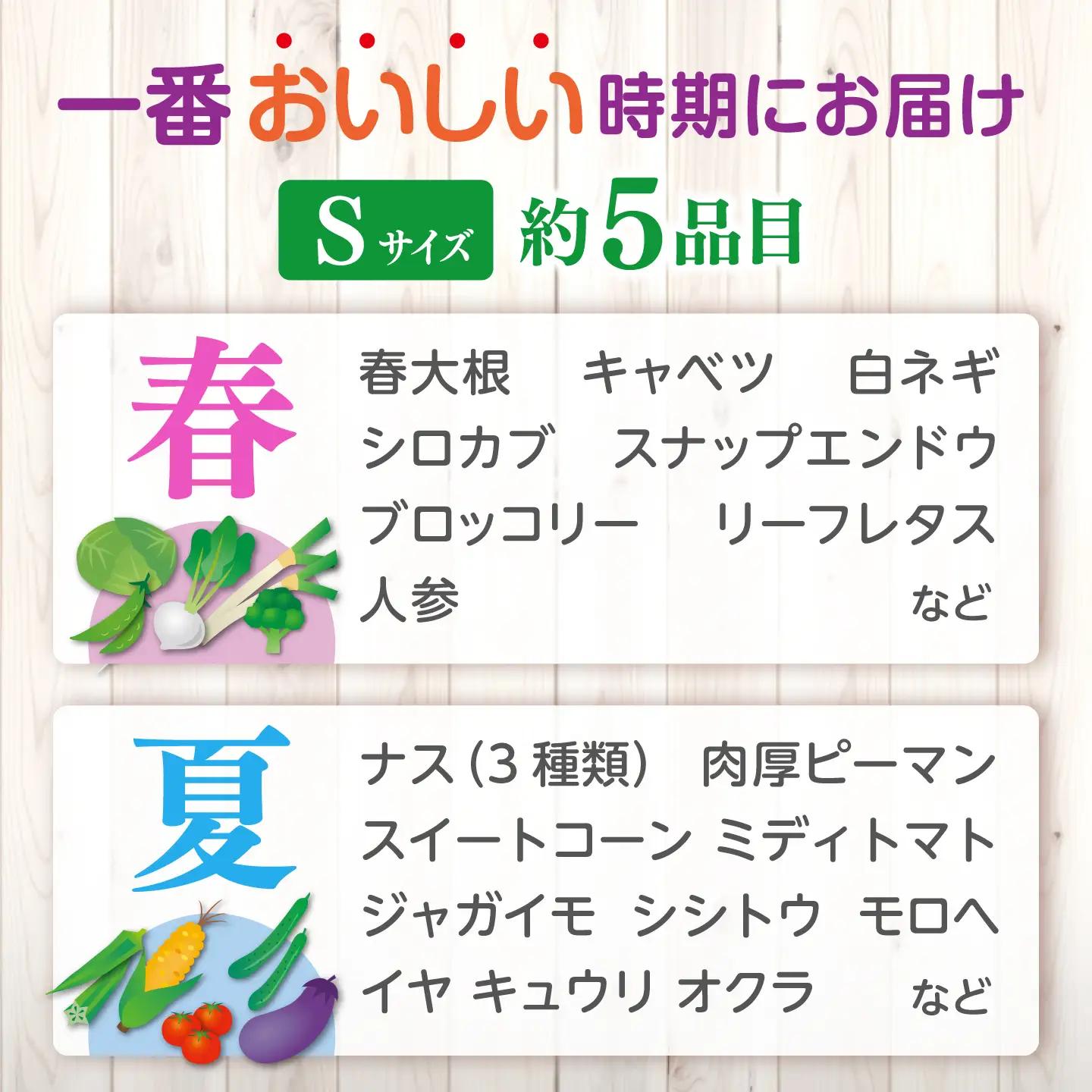 【全4回定期便】旬の野菜セットSサイズ 島根県松江市/須山農園[ALBD011]