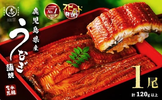 【10営業日以内に発送】鹿児島県産うなぎ蒲焼 名水慈鰻 1尾＜120g以上＞ うなぎ 鰻 ウナギ 1尾 国産 蒲焼 かばやき 冷凍 真空 真空パック 無頭 うな重 ひつまぶし タレ 山椒 p7-047