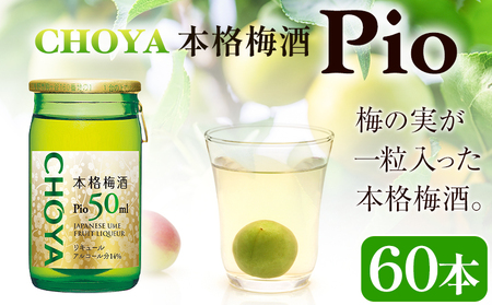 本格梅酒 Pio 飲みきりサイズ：50ml 60本 