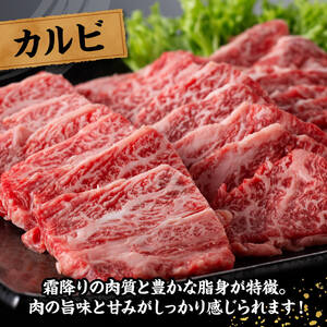 宮崎牛 カルビ焼肉 1kg 【 肉 牛肉 国産 宮崎県産 黒毛和牛 カルビ 焼肉 】