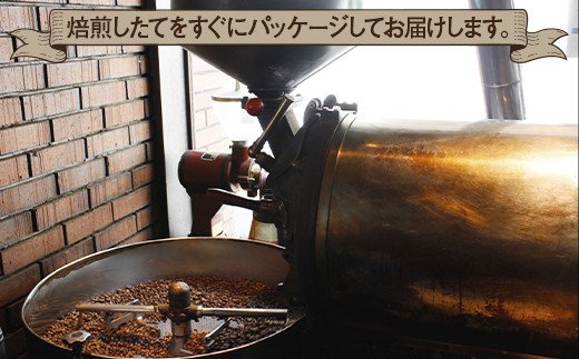 《プランタン珈琲商会 自家焙煎レギュラーコーヒー》モカブレンド 300g×1袋入り (中挽き) 当社で焙煎仕立てのコーヒー豆をお届け！ [1573]