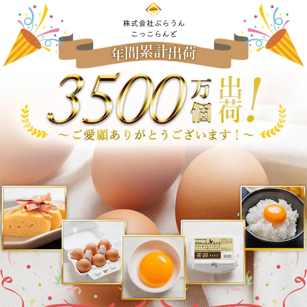 たまご コロンブスの茶卵 6個入×5P 卵が苦手な子どもも食べられた！ kl-0004