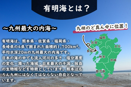 焼き海苔 熊本県産（有明海産）全形50枚入り フレッシュフーズ《30日以内に出荷予定(土日祝除く)》 美味しい海苔 有明海産海苔 有明海苔 熊本の海苔