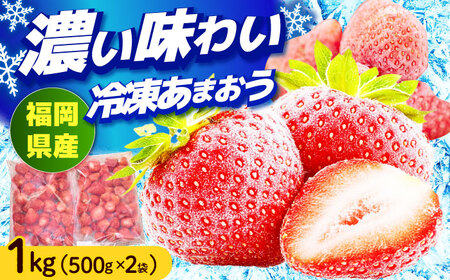 いちご 【4月以降発送】 福岡産 1kg いちご [ABET001] あまおう 果物